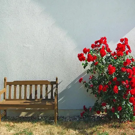 Doppelhaushaelfte Am Flacher See, 펜션 Klocksin